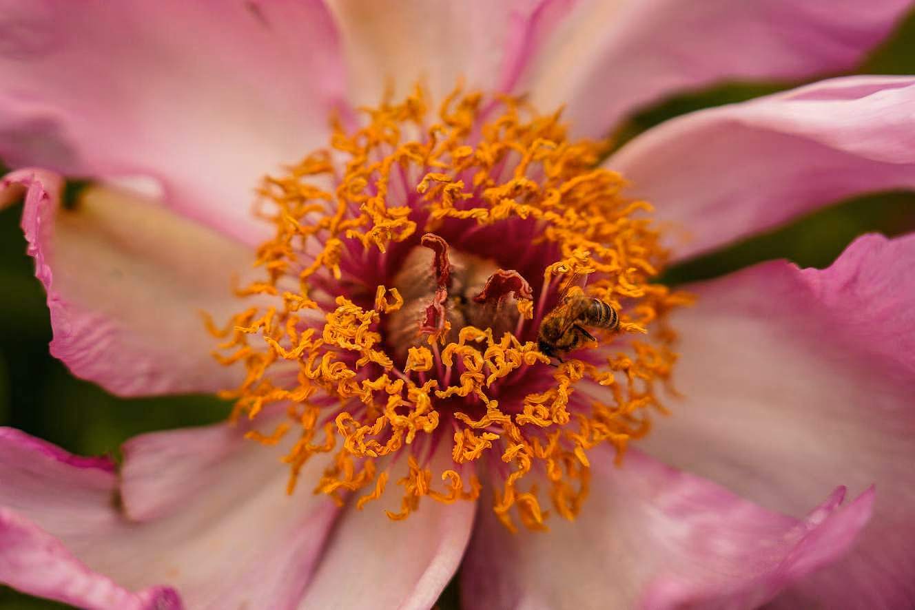 Aufnahme aus einem Foto-Workshop von Marcel Frölich, Bild 7
