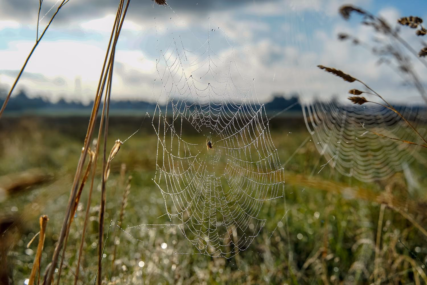 Aufnahme aus einem Foto-Workshop von Marcel Frölich, Bild 9